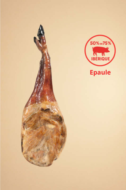 Épaule Ibérique 50% Bellota, Pata Negra
