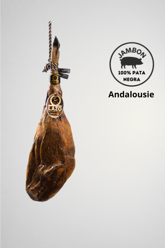 Jambon Ibérique Bellota 100% Pata Negra 8,3 kgs