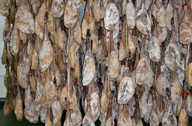 Différences entre le jambon et l'épaule du cochon ibérique